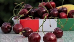 manger_mindful_eating_fruit-5462303_250x141